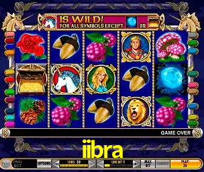 Live Casino iibra